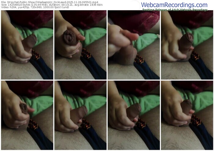 stripchat-madaamjizz_dicklewd-11-26-2025-09-55-01