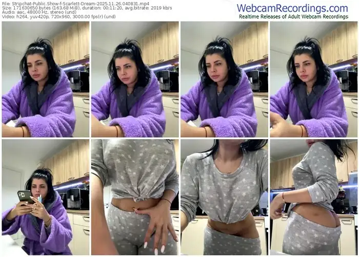 stripchat-scarlett-dream-11-26-2025-04-08-31