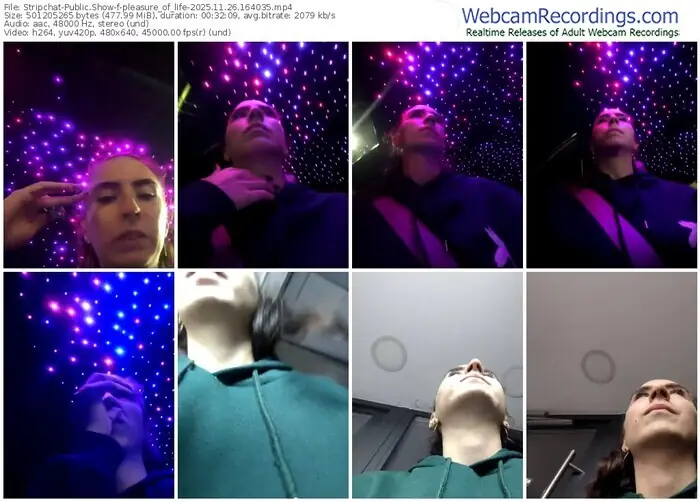 stripchat-pleasure_of_life-11-26-2025-16-40-35