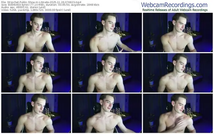 stripchat-litmate-11-26-2025-07-48-23