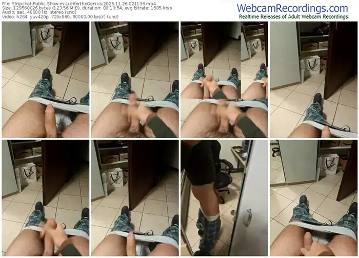 stripchat-luciferthegenius-11-26-2025-02-11-36