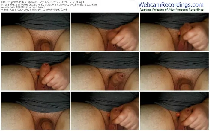 stripchat-tobydick13-11-26-2025-17-37-53