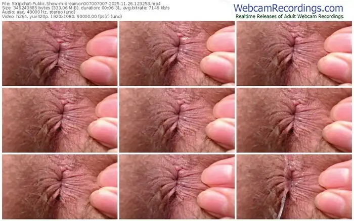 stripchat-dreamon007007007-11-26-2025-12-32-53