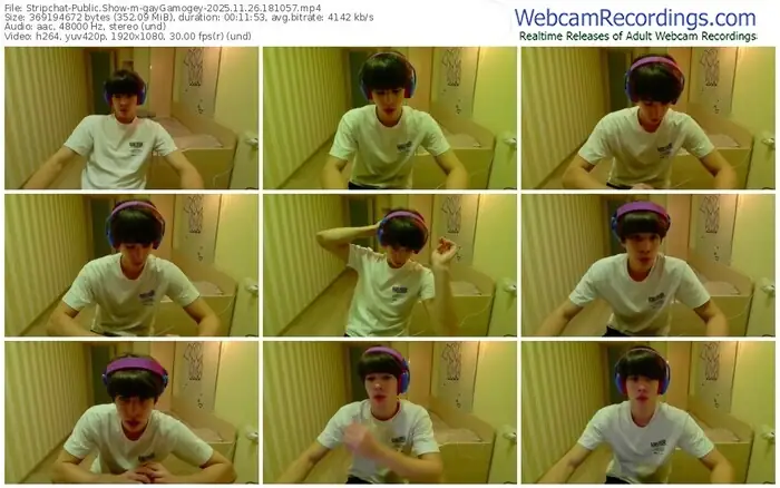 stripchat-gaygamogey-11-26-2025-18-10-57