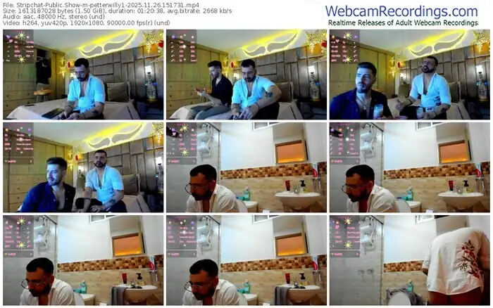 stripchat-petterwilly1-11-26-2025-15-17-31