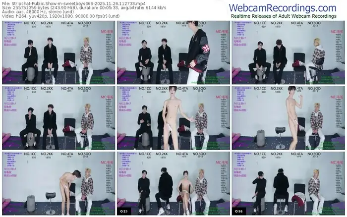 stripchat-sweetboys666-11-26-2025-11-27-33