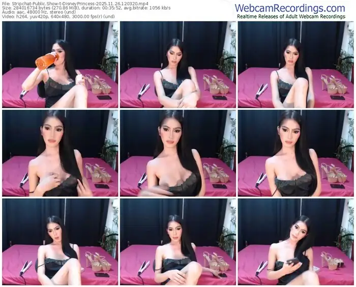 stripchat-disneyprincess-11-26-2025-12-03-20