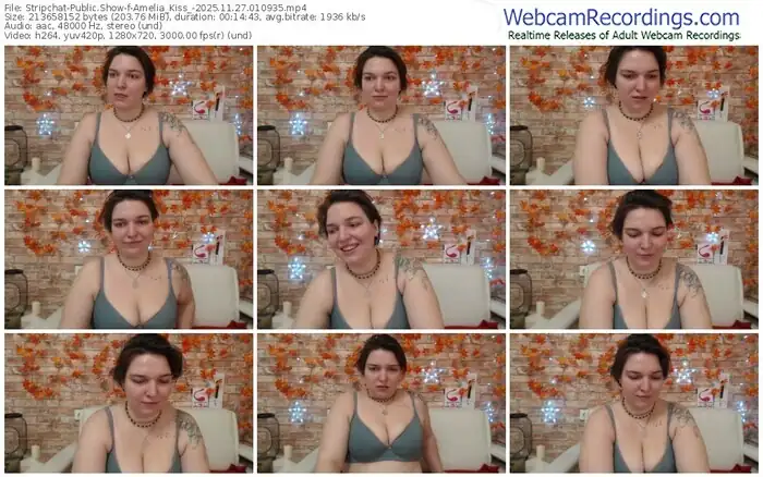 stripchat-amelia_kiss_-11-27-2025-01-09-35