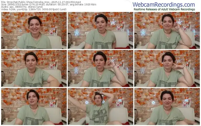 stripchat-amelia_kiss_-11-27-2025-06-10-56