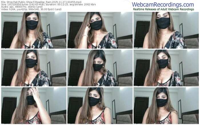 stripchat-meadow_rain-11-27-2025-19-16-55