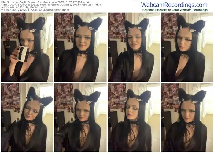 stripchat-porcelainanora-11-27-2025-22-57-32