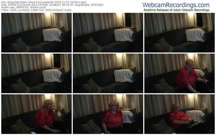stripchat-sylviastar46-11-27-2025-15-33-14