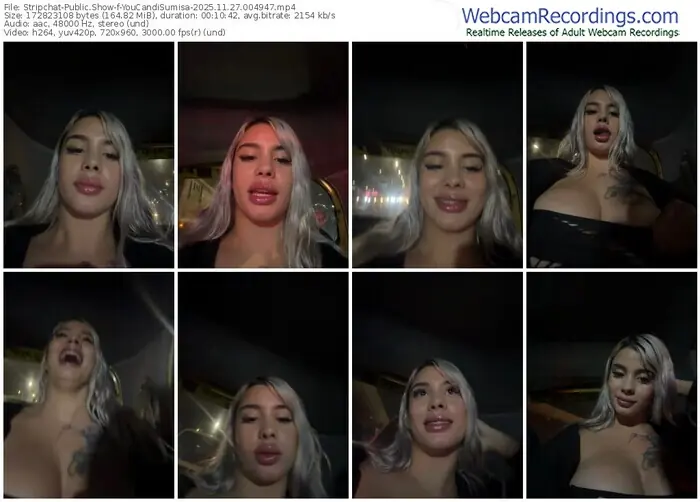 stripchat-youcandisumisa-11-27-2025-00-49-47