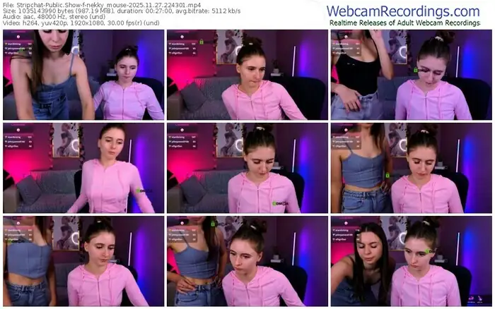 stripchat-nekky_mouse-11-27-2025-22-43-01