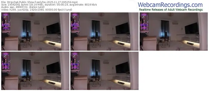 stripchat-seilyfox-11-27-2025-09-51-59