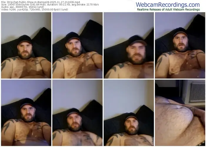 stripchat-bamse28-11-27-2025-21-24-39