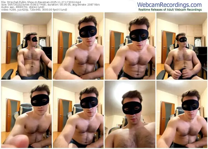stripchat-raveman-11-27-2025-17-33-32