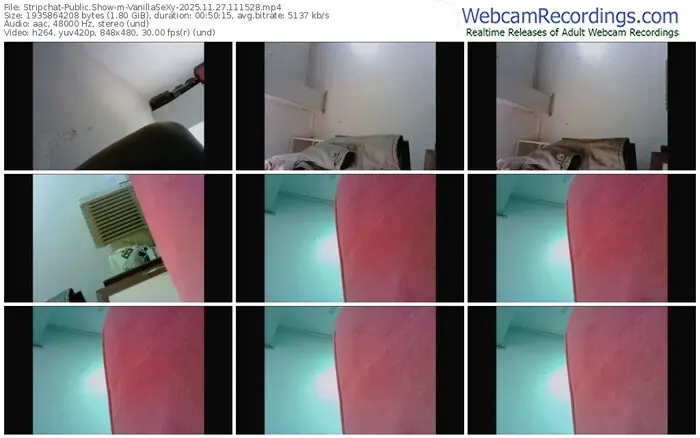 stripchat-vanillasexy-11-27-2025-11-15-28