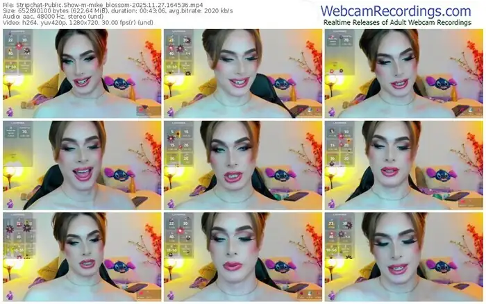 stripchat-mike_blossom-11-27-2025-16-45-36