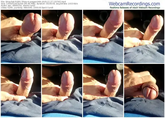 stripchat-pegaso369-11-27-2025-13-15-42