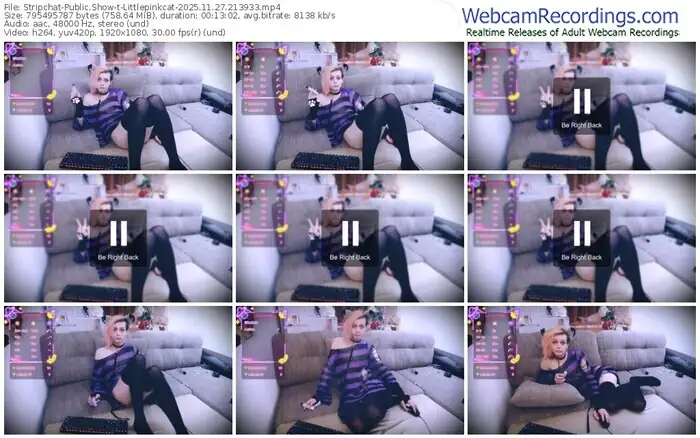 stripchat-littlepinkcat-11-27-2025-21-39-33