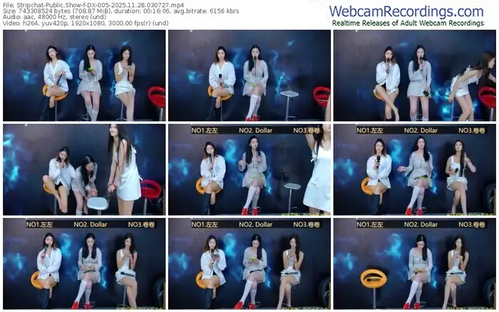 stripchat-dx-005-11-28-2025-03-07-27