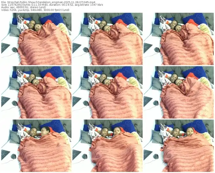 stripchat-dandelion_enigman-11-28-2025-07-19-45