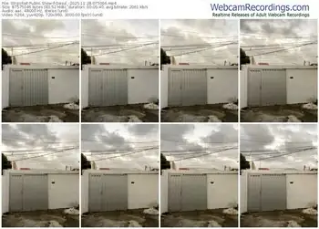 stripchat-dasul_-11-28-2025-07-50-06