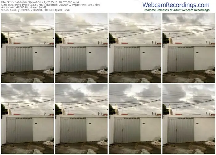 stripchat-dasul_-11-28-2025-07-50-06