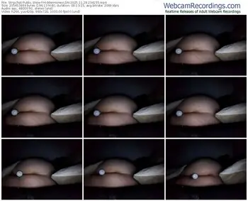 stripchat-hiddenhoneyldn-11-28-2025-23-41-55