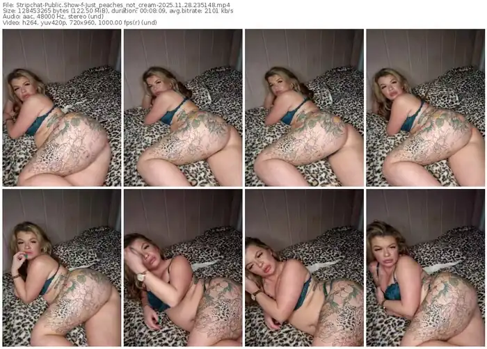 stripchat-just_peaches_not_cream-11-28-2025-23-51-48