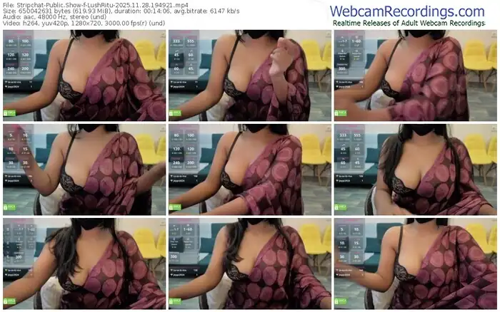 stripchat-lushritu-11-28-2025-19-49-21