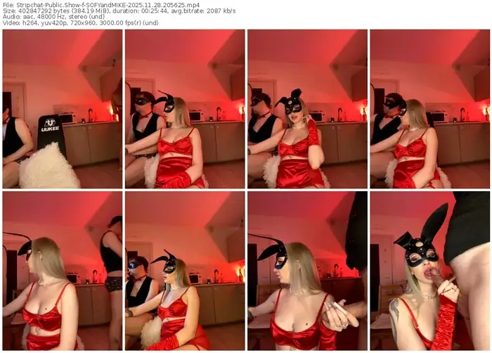 stripchat-sofyandmike-11-28-2025-20-56-25