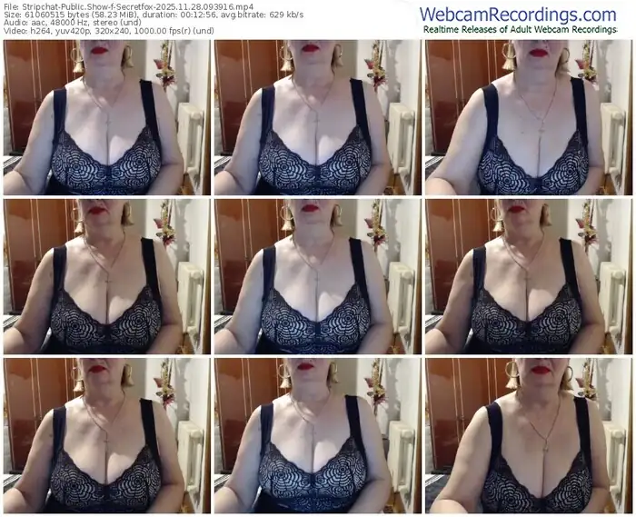stripchat-secretfox-11-28-2025-09-39-16