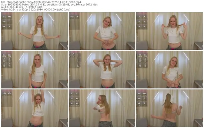stripchat-toshiapotvin-11-28-2025-11-38-07