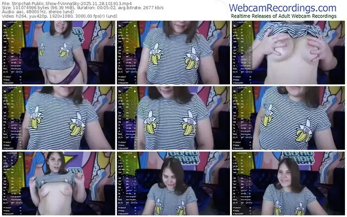 stripchat-vinnasky-11-28-2025-10-19-13