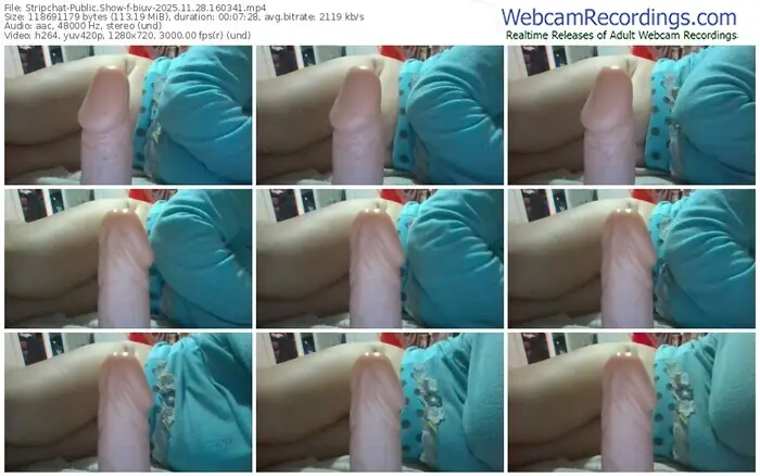 stripchat-biuv-11-28-2025-16-03-41