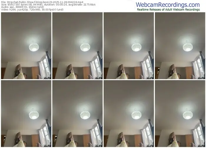 stripchat-blissyboo123-11-28-2025-09-42-24