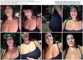 stripchat-camiysebas21-11-28-2025-22-38-59