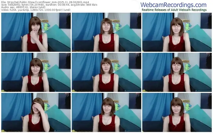 stripchat-cornflower_mm-11-28-2025-06-29-01