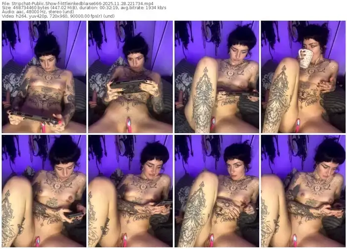 stripchat-littleinkedblaise666-11-28-2025-22-17-34