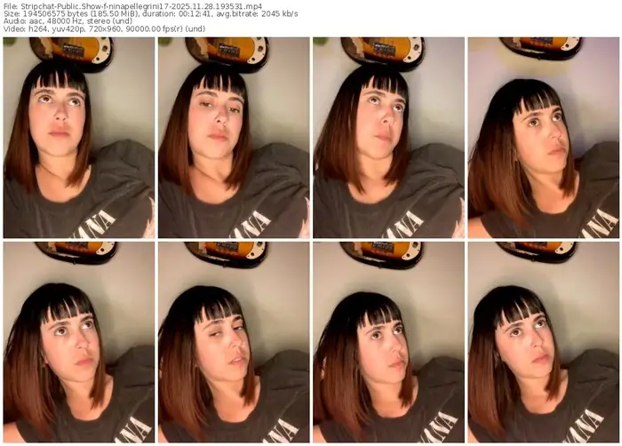 stripchat-ninapellegrini17-11-28-2025-19-35-31