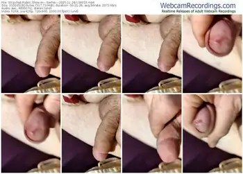 stripchat---serhei---11-28-2025-13-40-33