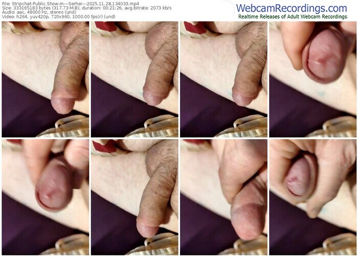 stripchat---serhei---11-28-2025-13-40-33