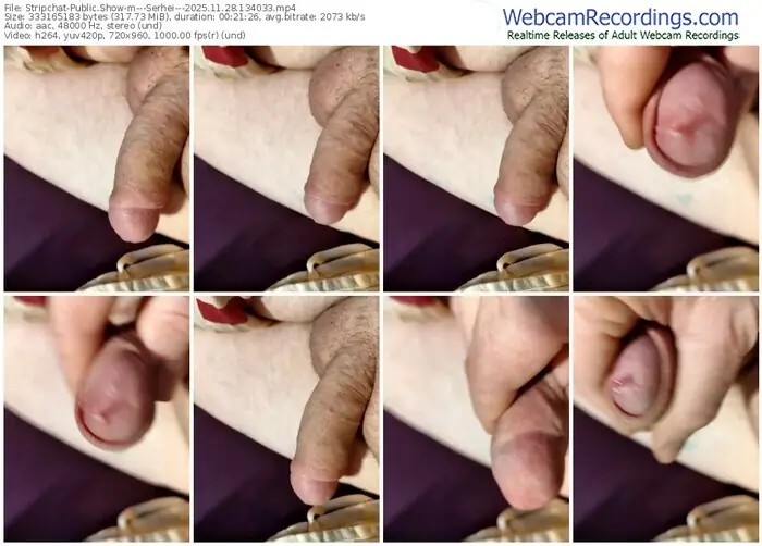 stripchat---serhei---11-28-2025-13-40-33