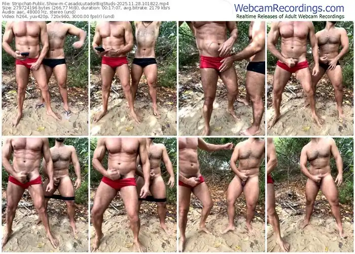 stripchat-casadolutadorbigstuds-11-28-2025-10-18-22