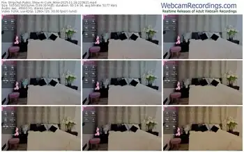 stripchat-cute_mike-11-28-2025-22-39-21