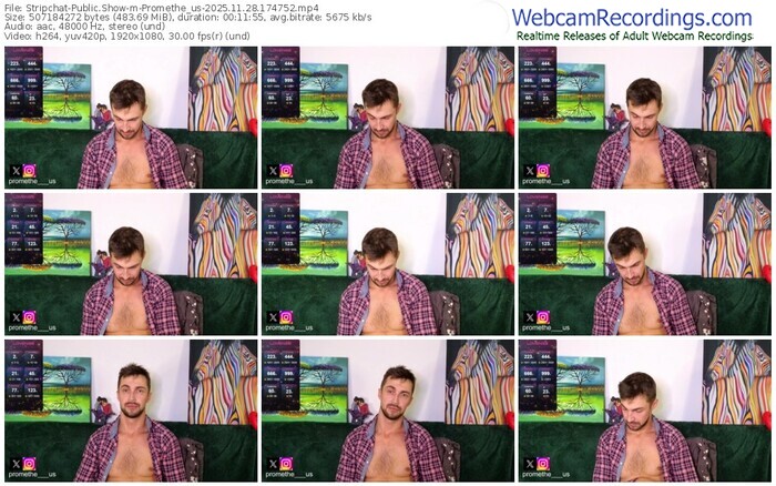 stripchat-promethe_us-11-28-2025-17-47-52