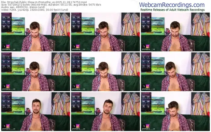 stripchat-promethe_us-11-28-2025-17-47-52