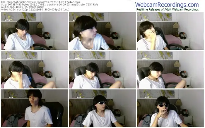 stripchat-sylasfrost-11-28-2025-17-44-46